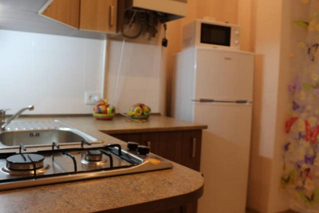 Horodotska 60 Apartament Lwów Zewnętrze zdjęcie